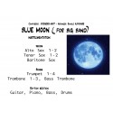 BLUE MOON (big-band)