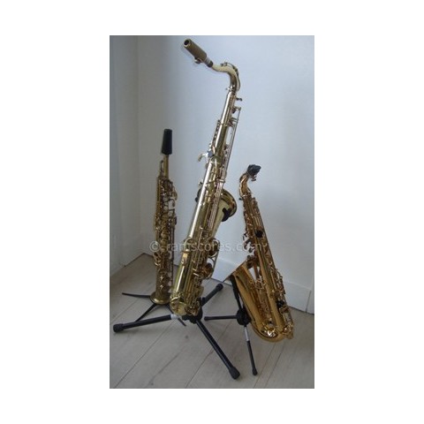 La Panthere Rose Partition Saxophone Alto Niveau Facile Saxes Trio