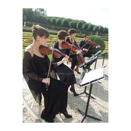 PETITE FLEUR (quatuor à cordes)