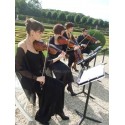 PETITE FLEUR (string quartet)