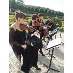 THE SUMMER KNOWS ( summer of 42) - string quatuor